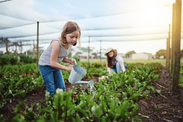 Taller d’horts urbans (hort)